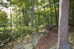 Earthworks still remain at what was the left flank of the Union line, held by the men of Maine